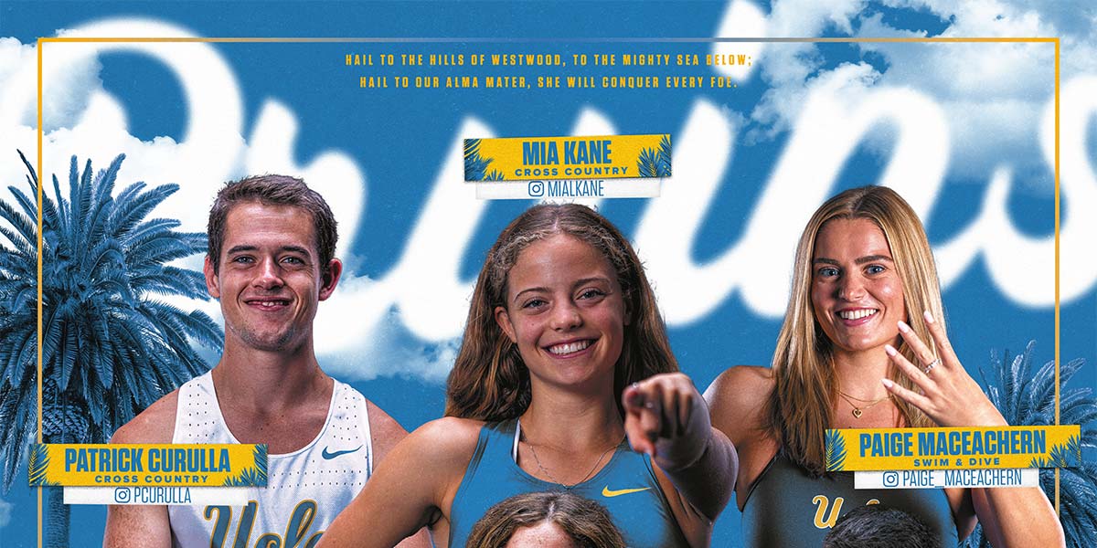 UCLA Fall Sports Pole Banner